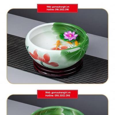 ANG NƯỚC THẢ CÁ THẢ HOA, TRỒNG SEN CẢNH MINI
